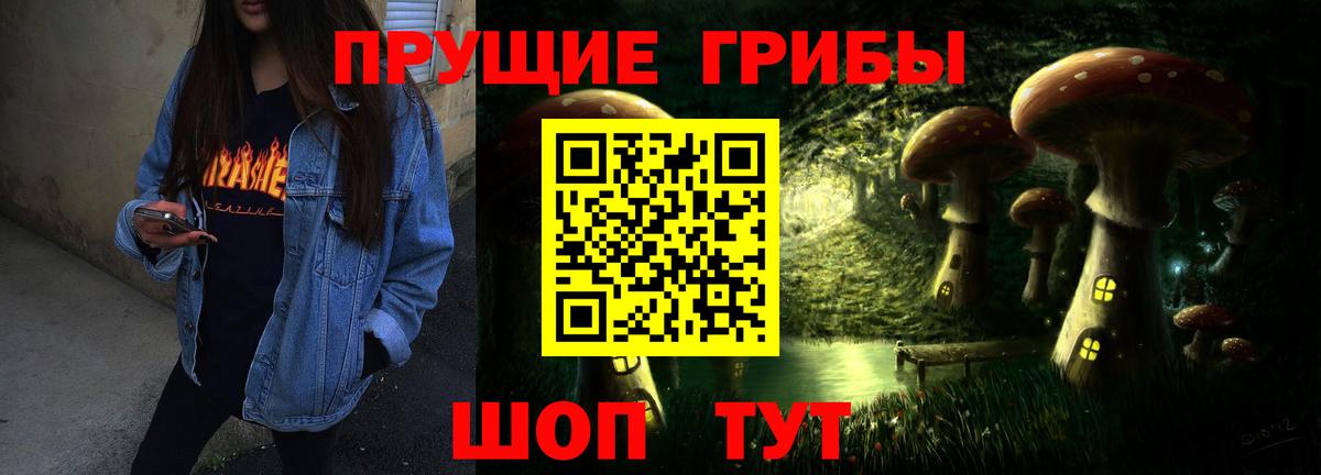 Псилоцибиновые грибы Psilocybine cubensis Самара
